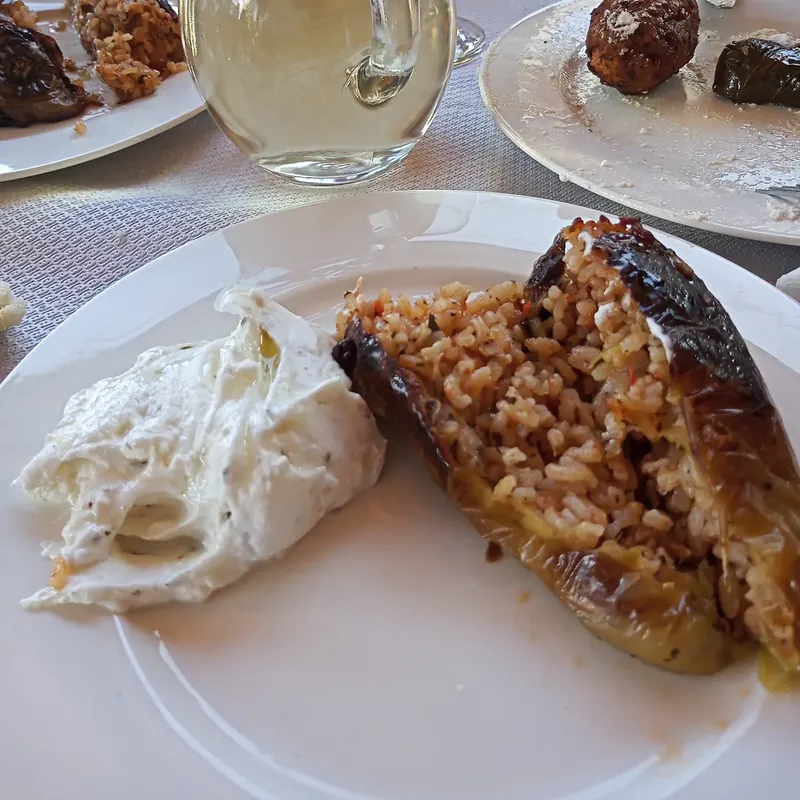 Stuffed eggplant filled with rice, served with yoghurt